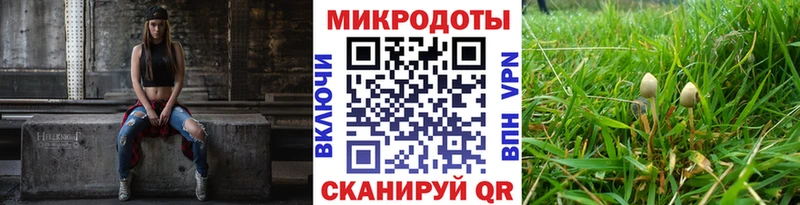 Галлюциногенные грибы ЛСД  Чернушка 