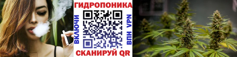 МАРИХУАНА VHQ  купить закладку  Чернушка 
